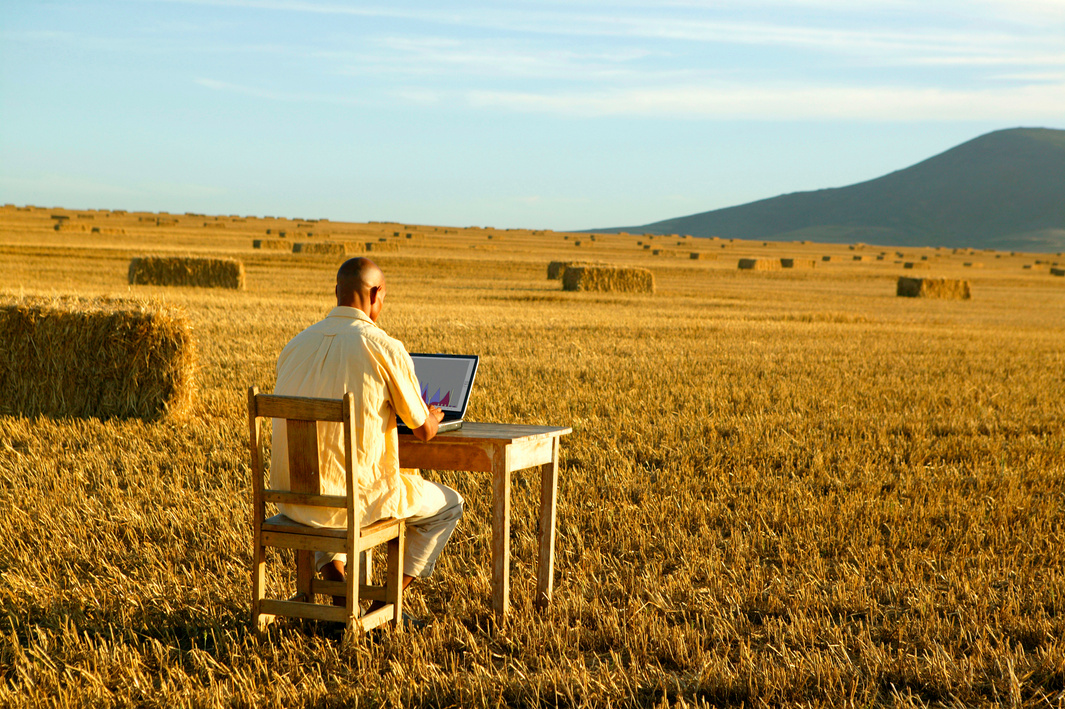 Man in rural pasture with desk and laptop